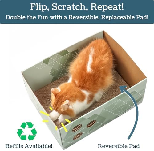 No-Mess Cardboard Cat Scratcher Box - Refillable Double-Sided Scratch Pad