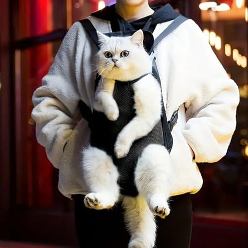 HEEPDD Pet Carrier Backpack, Legs Out Front Cat Dog Carrier, Lightweight Soft Mesh Breathable Bag for Walking Hiking, Small