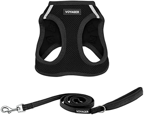 Best Pet Supplies Voyager Step-in Air All Weather Mesh Harness and Reflective Dog 5ft Leash Combo with Neoprene Handle, for Small, Medium and Large Breed Puppies - Black, XXX-Small