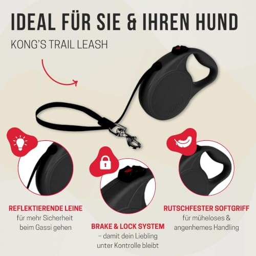 Alcott Kong Retractable Trail, Large, Fuschia, 16' Long