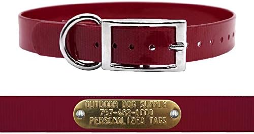 Heavy Duty Waterproof D-Ring Dog Collar w Custom Name Tag, Burgundy 21"