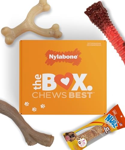 Nylabone Dog Gift Box, Strong Chew Toys & Treat, Large, 4 Count