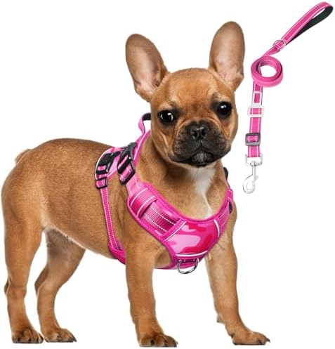 Tactical Service Dog Vest and Leash Set with 10 Patches Camo Pink S