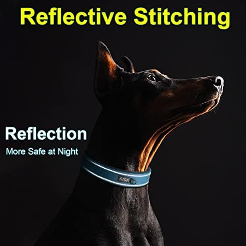 Fida Heavy Duty Dog Collar for Large Dogs with Metal Belt Buckle, Blue