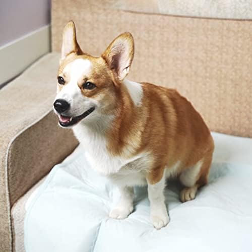 Avont Washable Pee Pads for Dogs, 2 Pack Reusable Puppy Pads Waterproof Pet Whelping Pad, 34" x 36" Highly Absorbent Potty Training Incontinence Mat for Crate Playpen Kennel