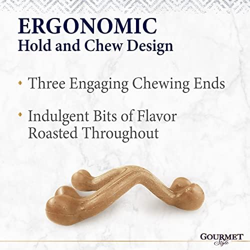 Nylabone Strong Chew Gourmet Style Wishbone Dog Chew Toy, Chicken Flavor