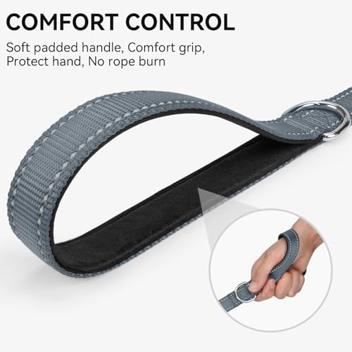 Joytale Reflective Dog Leash for Medium & Large Dogs, 5 FT x 1", Gray