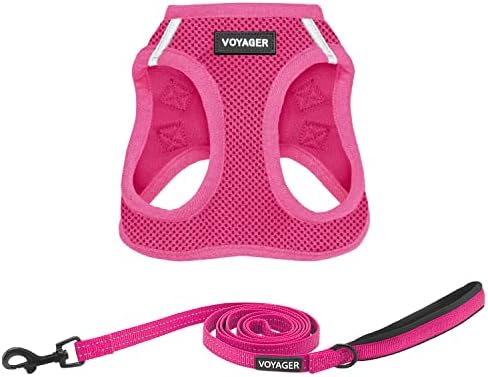Best Pet Supplies Voyager Step-in Air All Weather Mesh Harness and Reflective Dog 5ft Leash Combo with Neoprene Handle, for Small, Medium and Large Breed Puppies - Fuchsia, XX-Small