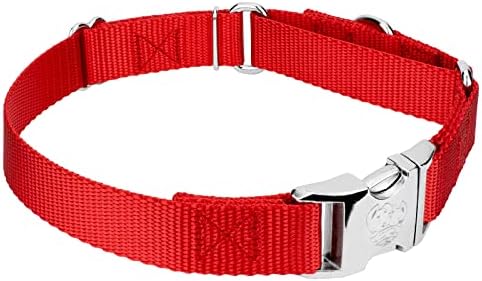 Country Brook Petz - Martingale Dog Collar - Heavy Duty Nylon Adjustable Martingale Dog Collar with Metal Buckle for Small Medium Large Breeds - 30+ Color Options (3/4 Inch, Small, Bright Red)