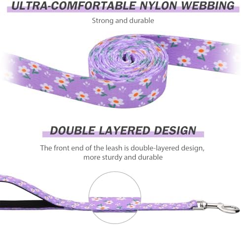 Hikiko 5FT Dog Leash Padded Double Handle with Designed Pattern
