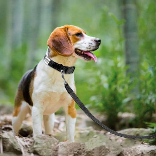 Joytale Personalized Dog Collar with Name Plate Built-in for Medium Dogs