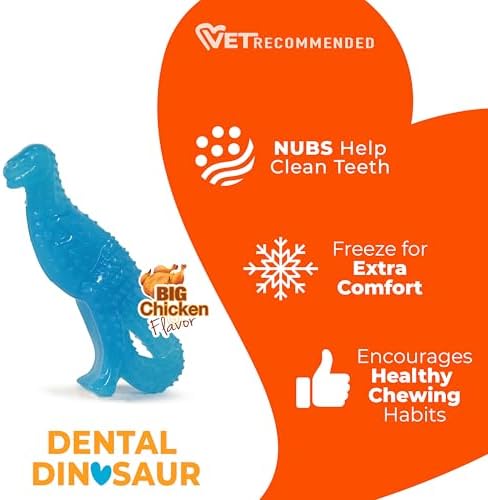 Nylabone Puppy Chew Dental Dinosaur Dog Chew Toy, Chicken Flavor, Small