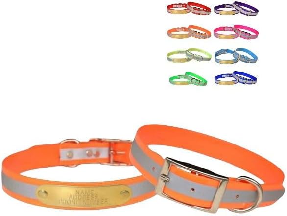 Reflective Dayglo Dog Collar Free Engraved Brass ID tag USA (Orange 21")