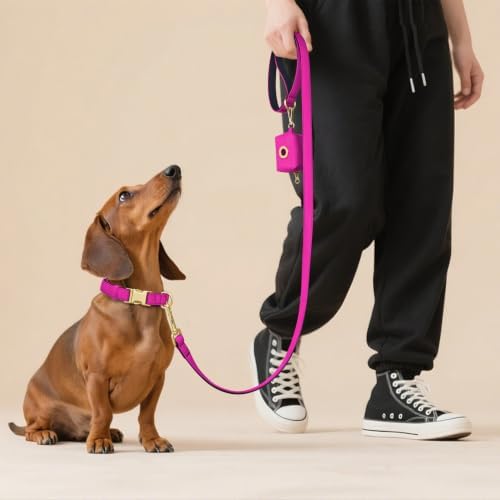 Didog Soft Padded Dog Collar for Small Dogs, Rose Purple, S Neck 10-15"
