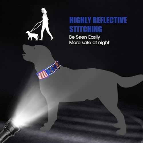 Heavy Duty Dog Collar for Medium Large Dogs,Blue,Large