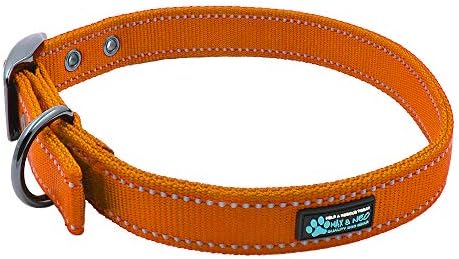 Max and Neo MAX Reflective Metal Buckle Dog Collar - Medium, Orange