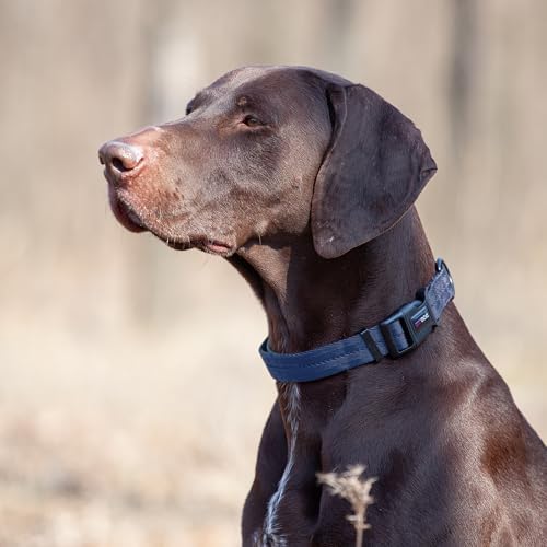 Dogline Navy Blue Nylon Collar (W: 3/4" L: 13"-20")