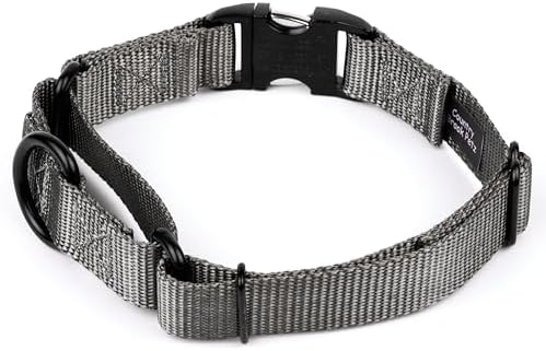Country Brook Petz - Martingale Dog Collar - Heavy Duty Nylon Adjustable Martingale Dog Collar with Metal Buckle for Small Medium Large Breeds - 30+ Color Options (1 Inch, Large, Charcoal)