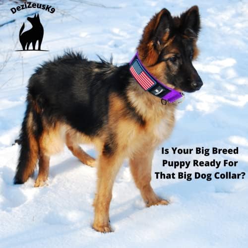 2" Wide Tactical Dog Collar Quick Release Metal Buckle D-Ring M-L-XL Dogs