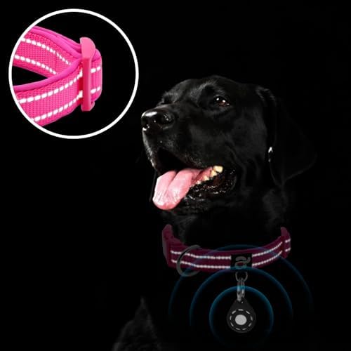 azuza Airtag Dog Collar, Puppy Collar with Airtag Holder, Hot Pink, XS