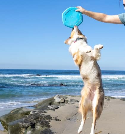 PROJECT HIVE ·PET COMPANY· Dog disc - Great for Fetch - Includes a Lick mat on Back - Floats in Water, Smooth Glide - Made in The USA (Soothing Vanilla)