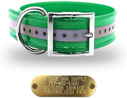 Reflective Heavy Duty D-Ring 1.5" Dog Collar w Custom Nametag, Green