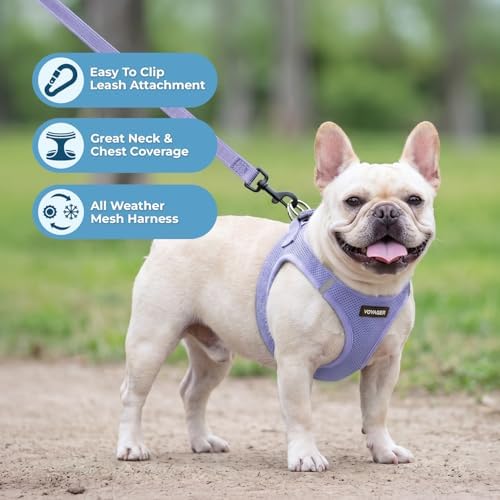 Best Pet Supplies Voyager Step-in Air All Weather Mesh Harness and Reflective Dog 5ft Leash Combo with Neoprene Handle, for Small, Medium and Large Breed Puppies - Lavender, XL