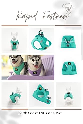 EcoBark Step in Dog Harness - Reflective Soft Luxurious Mesh Dog Harnesses for XXS, XS, Small, and Medium Dogs - Eco-Friendly Comfort Secure Halter No Pull Adjustable Pet Vest (Mint, Small)