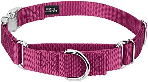 Country Brook Petz - Martingale Dog Collar - Heavy Duty Nylon Adjustable Martingale Dog Collar with Metal Buckle for Small Medium Large Breeds - 30+ Color Options (1 Inch, Large, Rose)