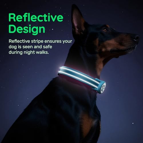 Premium Airtag Dog Collar，with IP68 Waterproof AirTag Holder,Blue,M