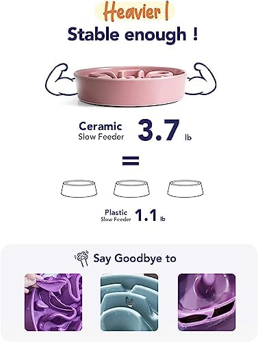 LE TAUCI Slow Feeder Dog Bowls Ceramic, 3 Cups Slow Feeding Dog Bowl Medium Large Breed, Pet Bowl for Fast Eaters, Puzzle Pet Dishes, Pink+Green