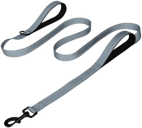 Joytale Dog Leash for Large Dogs that Pull, Double Handle, 4FT, Gray