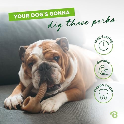 Benebone Ring Durable Dog Chew Toy for Aggressive Chewers, Real Bacon, Made in USA, Large (Pack of 2)