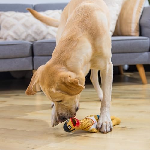 Outward Hound by Charming Pet Squawkers Earl Latex Squeaky Rubber Chicken Dog Toy,Funny Interactive Holiday Toy for Dogs,Large Size,(Pack of 2)