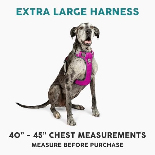 Embark No Pull Dog Harness, Reflective Adjustable Training Vest, No Choke