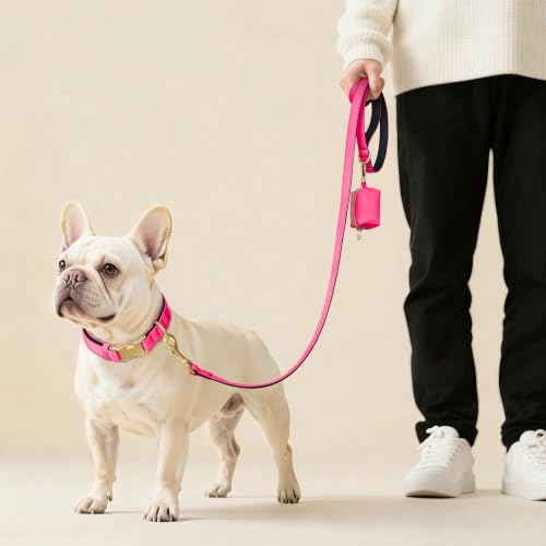 Didog Soft Padded Dog Collar for Medium Dogs, Neon Pink, M Neck 14-18"