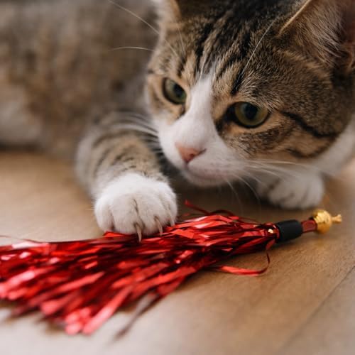 LUOZZY 16Pcs Cat Teaser Wand Refill Metallic Foil Tassel with Bell, Random