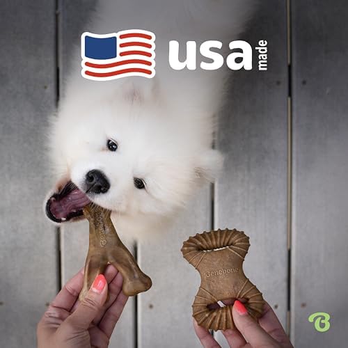 Benebone Wishbone/Dental Durable Dog Chew Toys, Real Bacon, 2 Count Medium (Pack of 8)