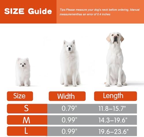 Reflective Dog Collar for Large Dogs, Artistic Design Hawaii-L