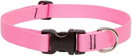 LupinePet Basics 1" Pink 25-31" Adjustable Collar for Extra Large Dogs