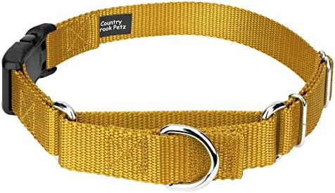 Martingale Dog Collar - Heavy Duty Nylon Adjustable Martingale Dog Collar with Plastic Buckle for Small Medium Large Breeds - 30+ Colors (5/8 Inch, Extra Small, Gold)