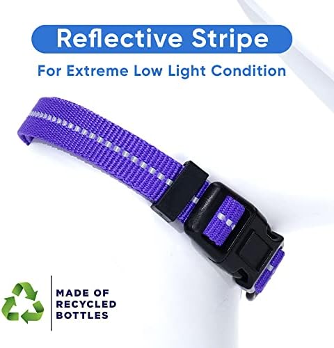 Pawtitas Recycled Dog Collar with Reflective Stitched Puppy Collar Made from Plastic Bottles Collected from Oceans Large Purple Quartz