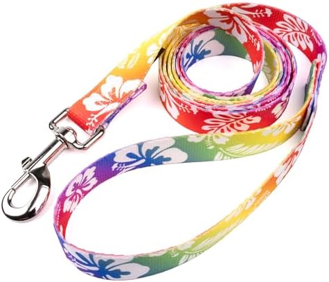 Country Brook Petz - Hawaiian Rainbow Everyday Dog Leash - Summer Breeze Collection Featuring Sunny Designs (1 Inch, 4 Foot)