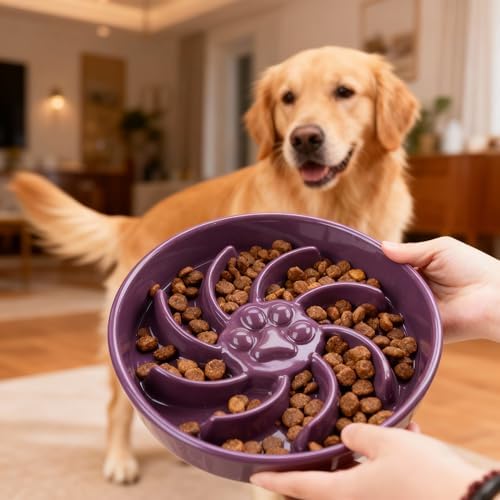 Ceramic Slow Feeder Dog Bowl, 3 Cup Dog Food or 25oz Water, Slow Eating Bowl for Middle Breed, Maze Puzzle Feeder for Fast Eaters, Anti-Choking Stop Bloat, Non-Slip BPA Free (Purple)