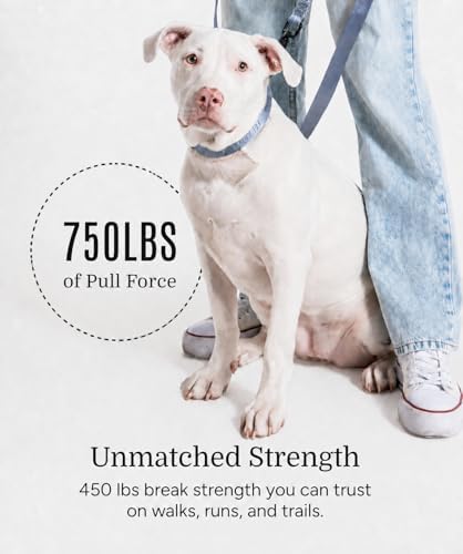 Fei & Eve Classic Dog Collar, Soft & Fur-Friendly