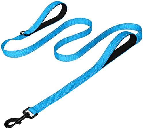 Joytale Dog Leash for Large Dogs that Pull, Double Handle, 4FT, Aqua Blue
