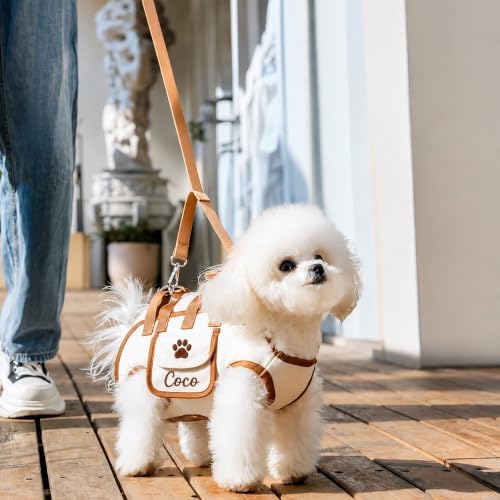 Personalized Name Pet Purse Carrier, Head-Out Tote for Small Dogs & Cats
