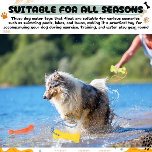 Skylety 4 Pack Floating Dog Toy with Rope Handle