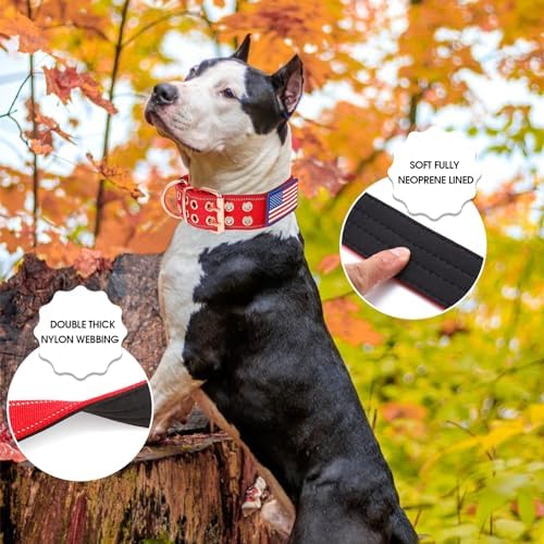 Heavy Duty Dog Collar for Medium Large Dogs,Red,Large