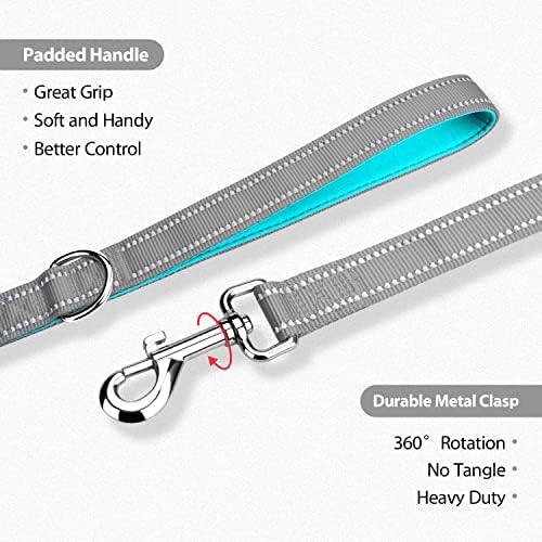 PHOEPET 5 Feet Dog Leash - Dual-Side Reflective - Soft Padded Handle
